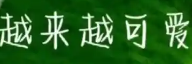 拍摄技巧教程